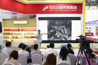 河北出版?zhèn)髅郊瘓F(tuán) 北京圖博會上的文化亮眼風(fēng)景線